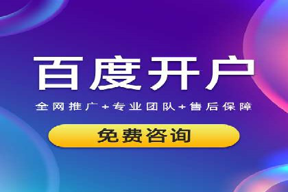 SEM竞价优化策略：成功案例解析